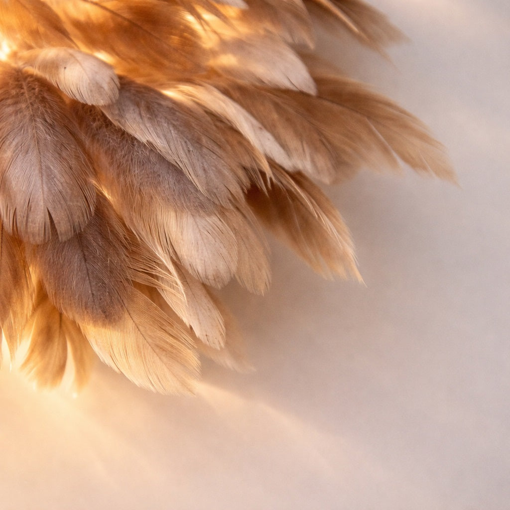 Abat-jour mural en plumes aux nuances beige et caramel, détail de matière et lumière tamisée