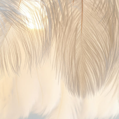 Gros plan sur les plumes naturelles d’une applique, texture fine et lumière chaude en transparence.
